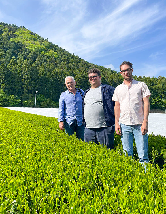 Hojicha Roasted Japanese Organic Green Tea - Low Caffeine