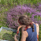 Montreal Meadow Calming Herbal Blend | Organic