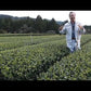 Gyokuro Green Tea |Master Sakamoto  Organic Garden | 1.5 OZ