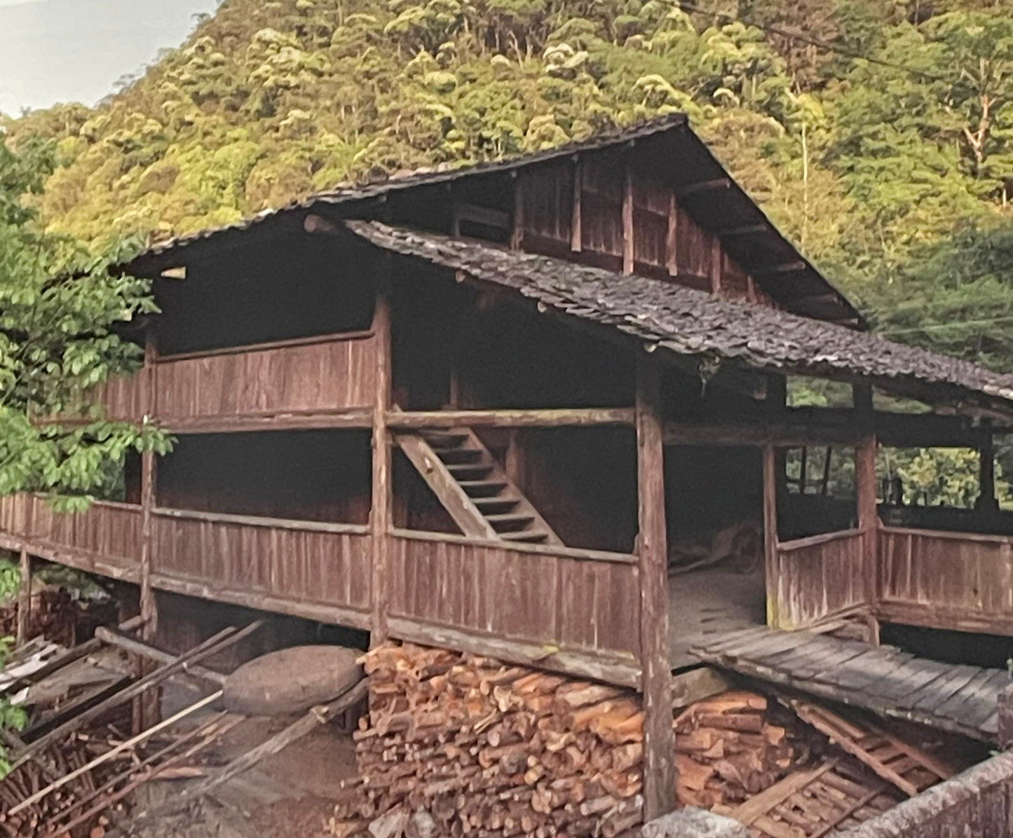 Lapsang Souchong Black Tea