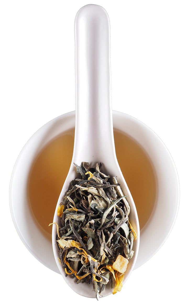 Best Online Tea Shop: Discover Premium Blends & Exclusive Deals