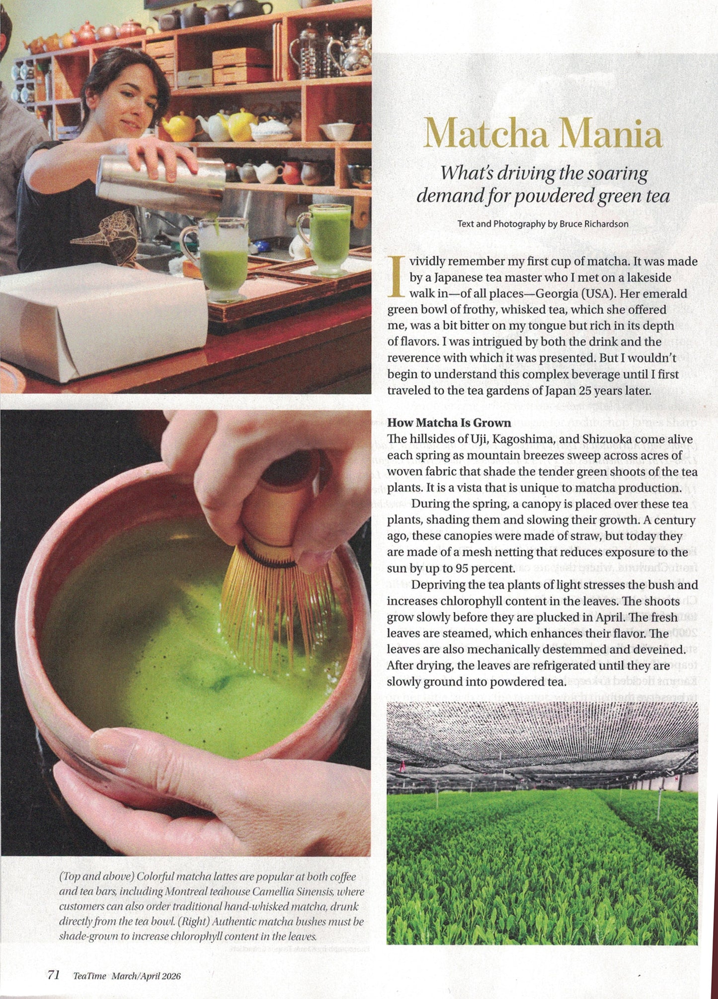 TEATIME MAGAZINE - MAR/APRIL 2026