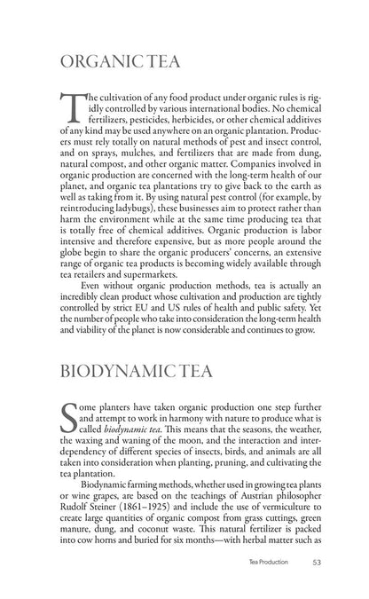 The New Tea Companion