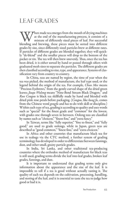 The New Tea Companion