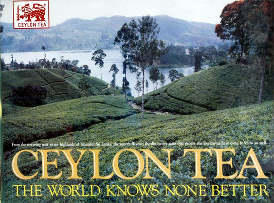 5 Great Teas of Sri Lanka Tasting Kit