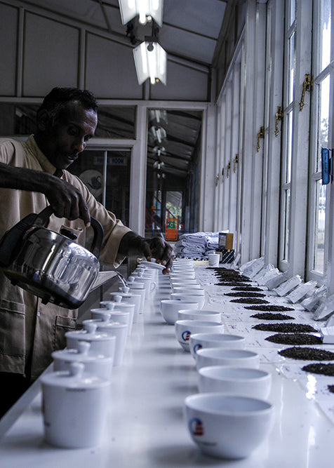 Cupping tea in Sri Lanka