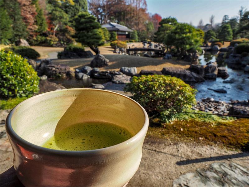 5 Great Teas of Japan Tasting Kit