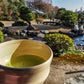 Online Tea Course - 5 Great Teas of Japan - Video