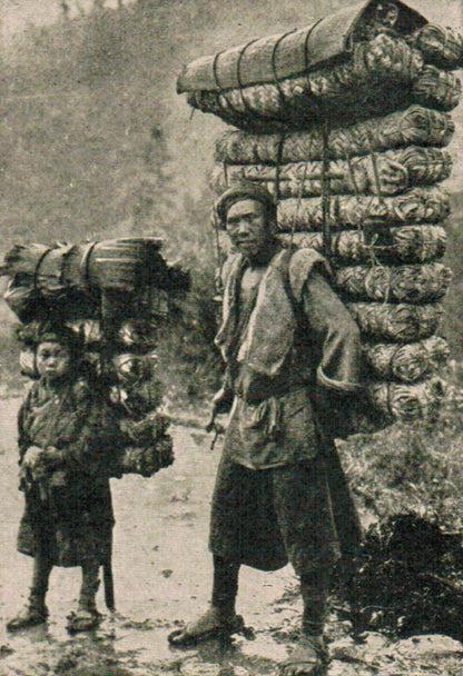 A Social History of Tea - Autographed